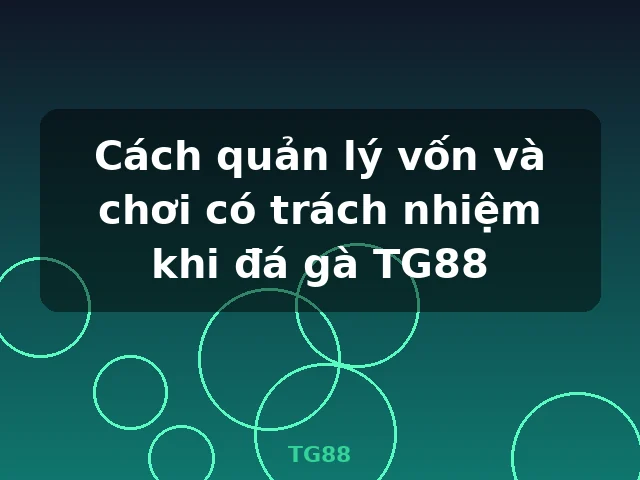 Cách quản lý vốn và chơi có trách nhiệm khi đá gà TG88